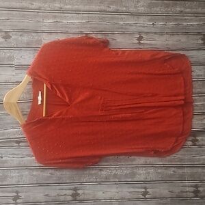 Pleione V-Neck Blouse